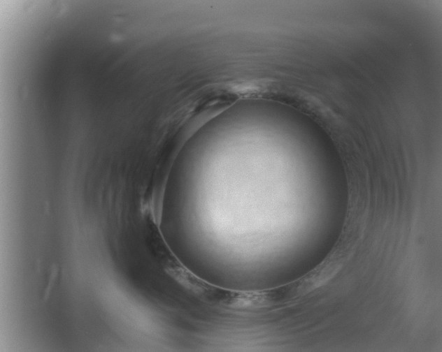 X0000064040720200602031557