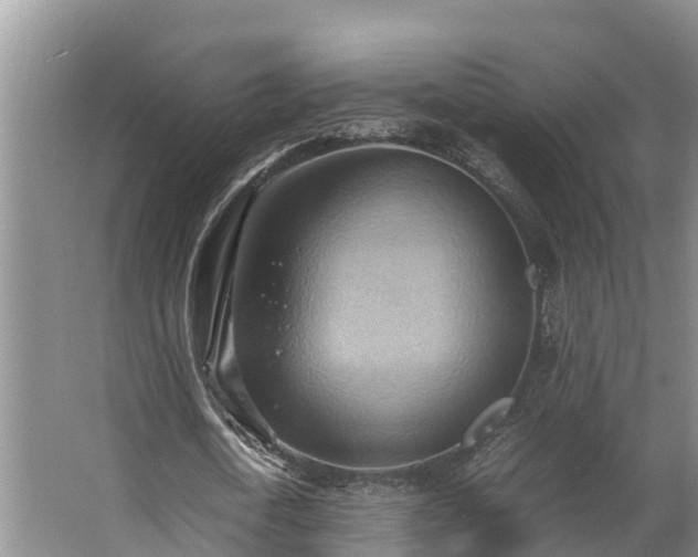 X0000064040722200602031557