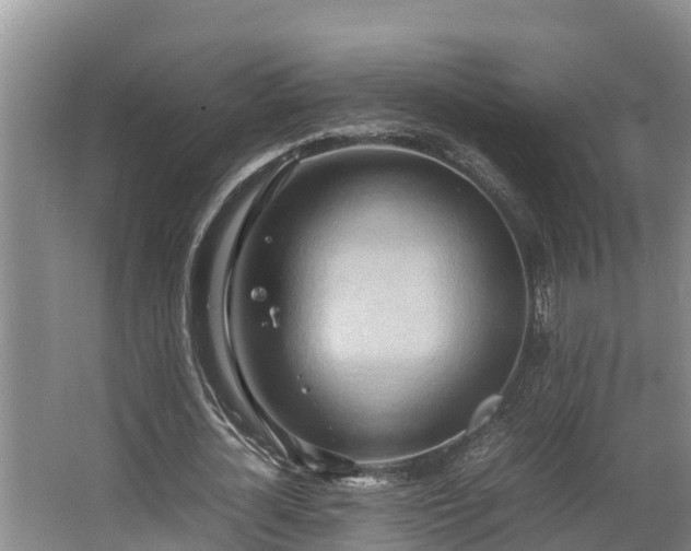 X0000064040724200602031557