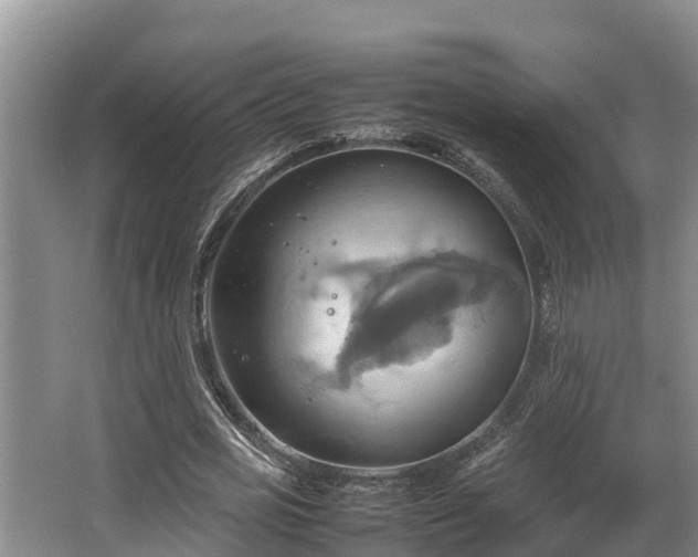 X0000064040725200602031557