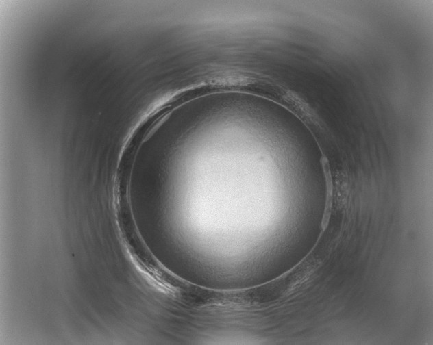 X0000064040726200602031557