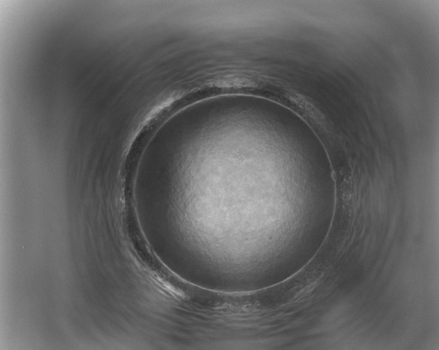 X0000064040727200602031557