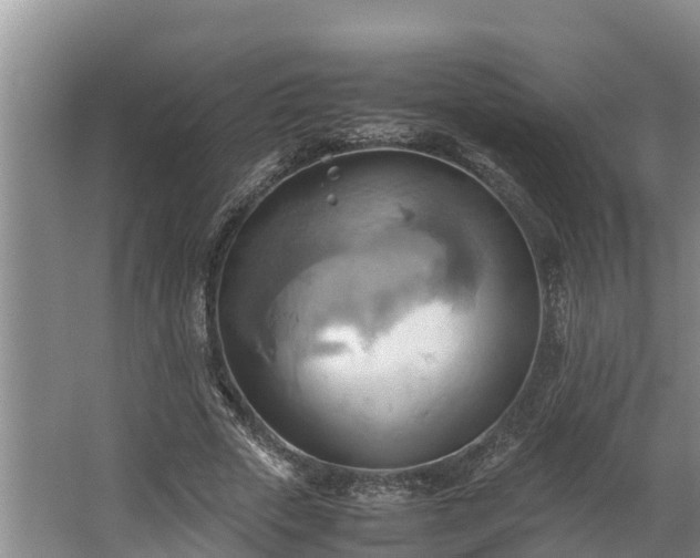 X0000064040729200602031557