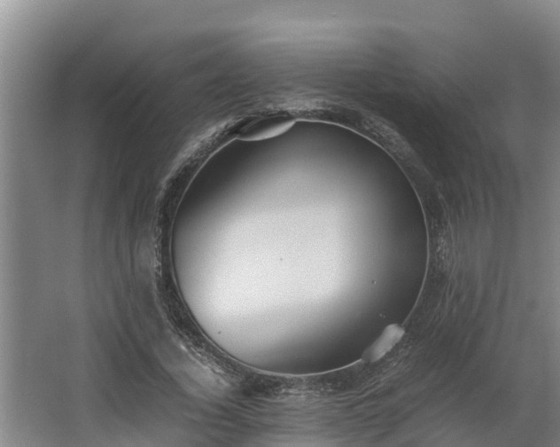 X0000064040732200602031557