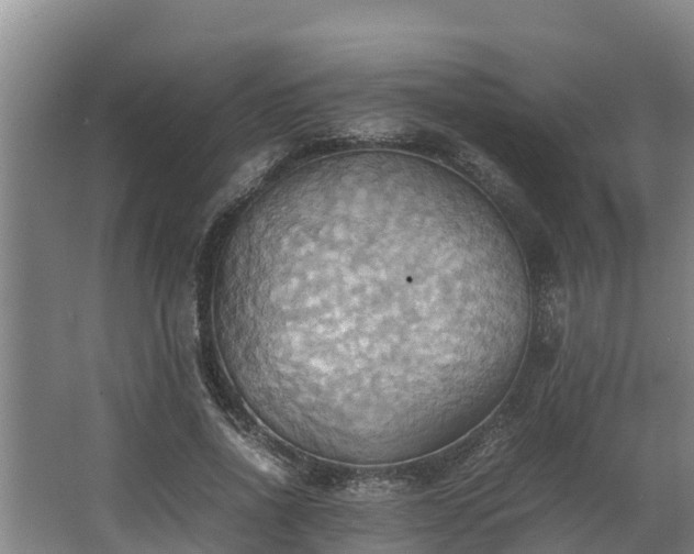 X0000064040734200602031557