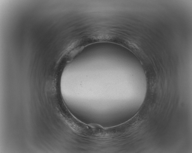 X0000064040735200602031557