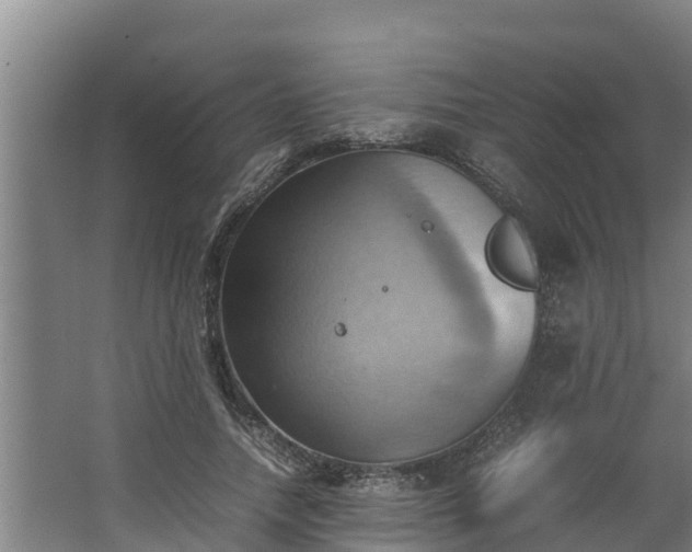 X0000064040738200602031557