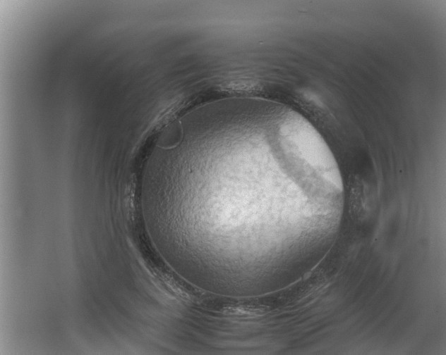 X0000064040739200602031557