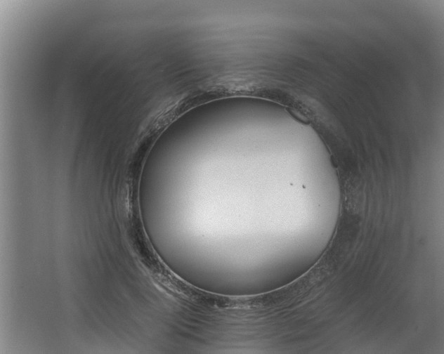 X0000064040740200602031557