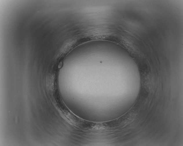 X0000064040742200602031557