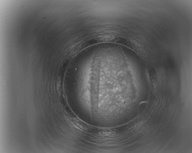 X0000064040745200602031557