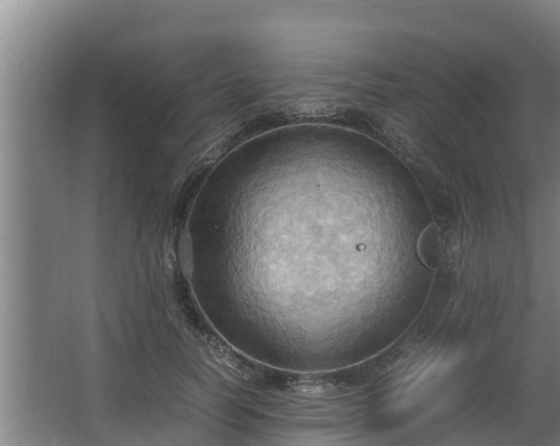 X0000064040746200602031557