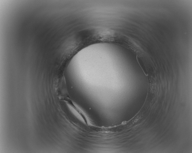 X0000064040748200602031557