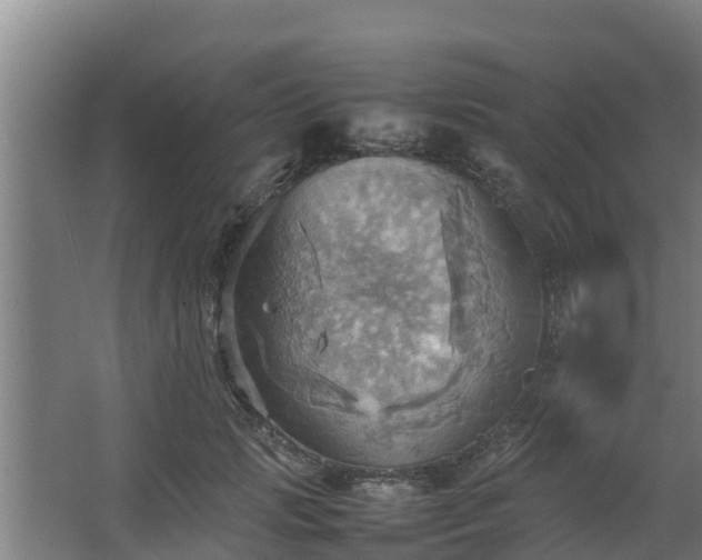 X0000064040749200602031557