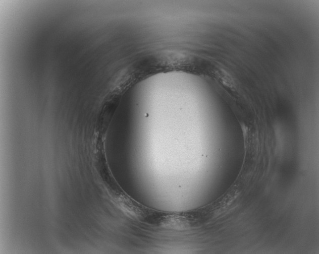 X0000064040750200602031557