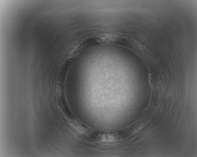 X0000064040751200602031557