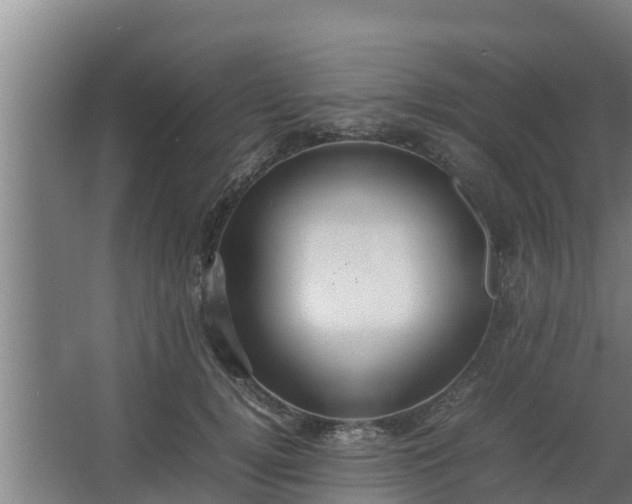 X0000064040752200602031557