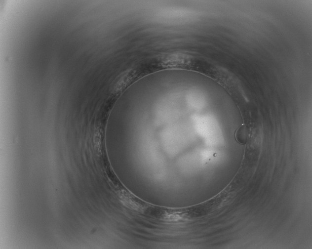 X0000064040753200602031557