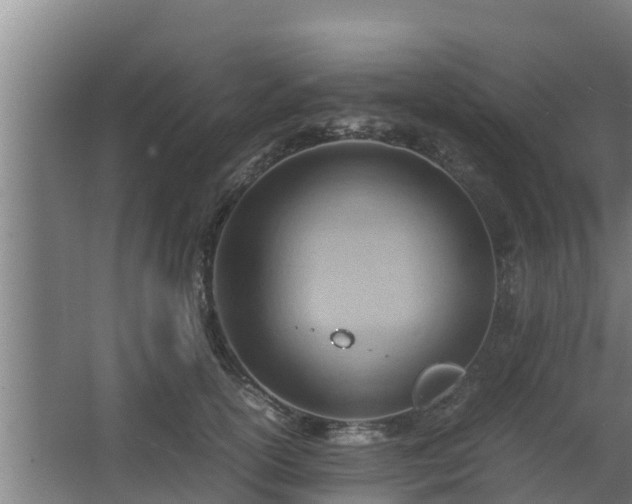 X0000064040754200602031557