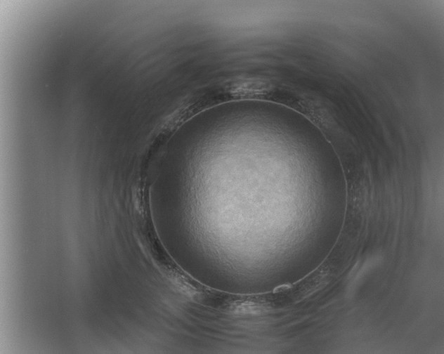 X0000064040755200602031557