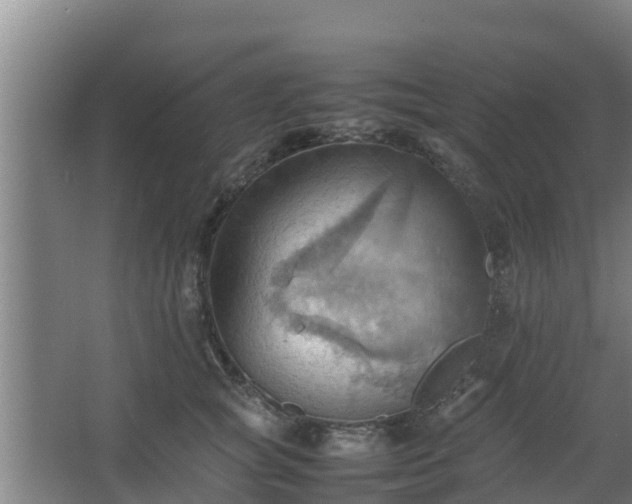 X0000064040757200602031557