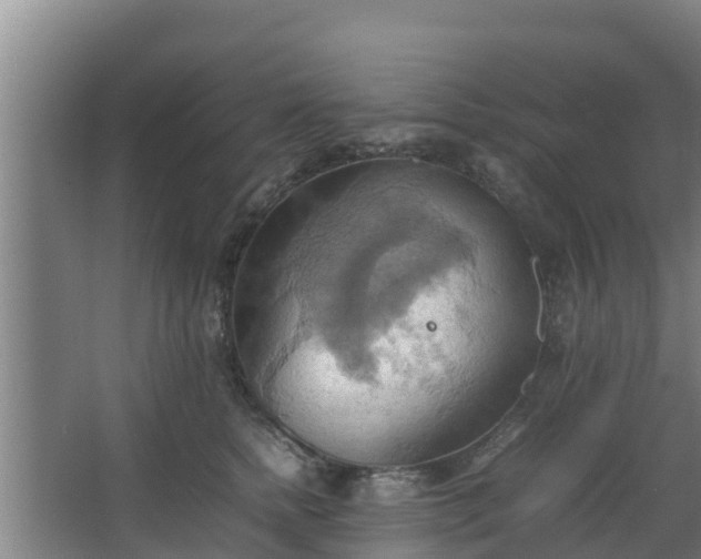 X0000064040758200602031557