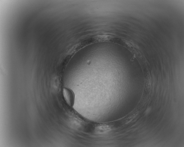 X0000064040759200602031557