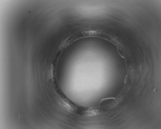 X0000064040760200602031557