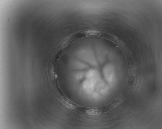 X0000064040761200602031557