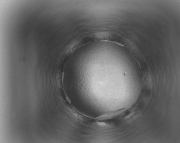 X0000064040762200602031557