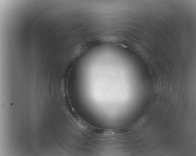 X0000064040764200602031557