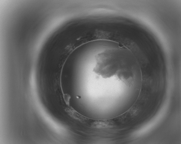 X0000064040765200602031557