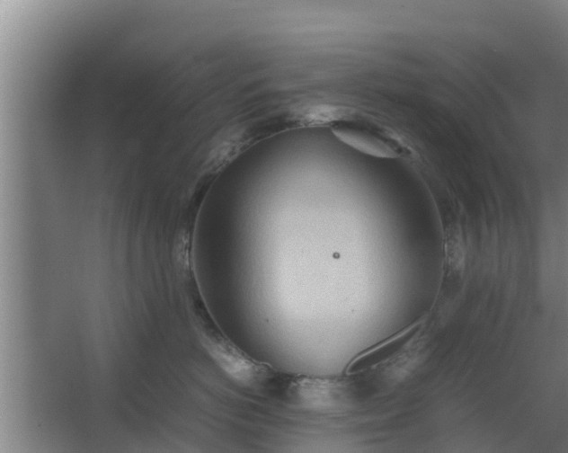 X0000064040766200602031557