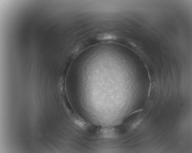 X0000064040767200602031557