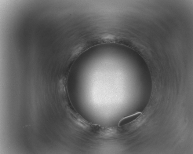 X0000064040768200602031557