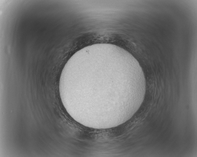 X0000064040769200602031556