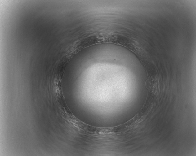 X0000064040770200602031556