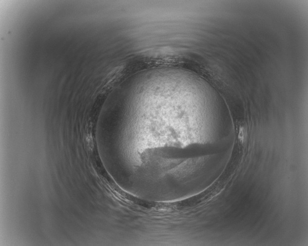 X0000064040771200602031556