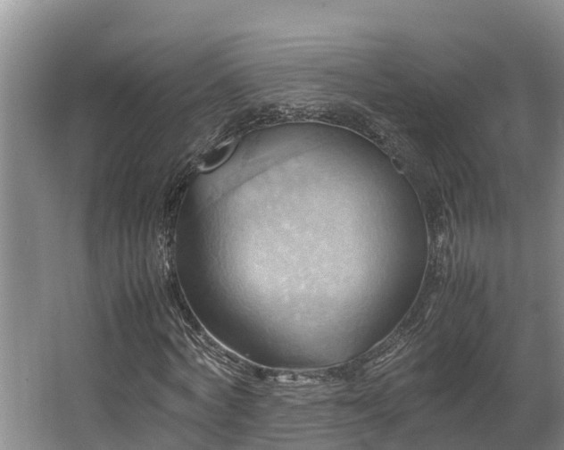 X0000064040772200602031556