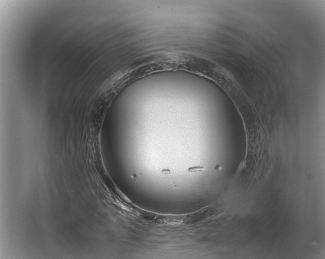 X0000064040773200602031556