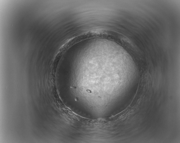 X0000064040776200602031556