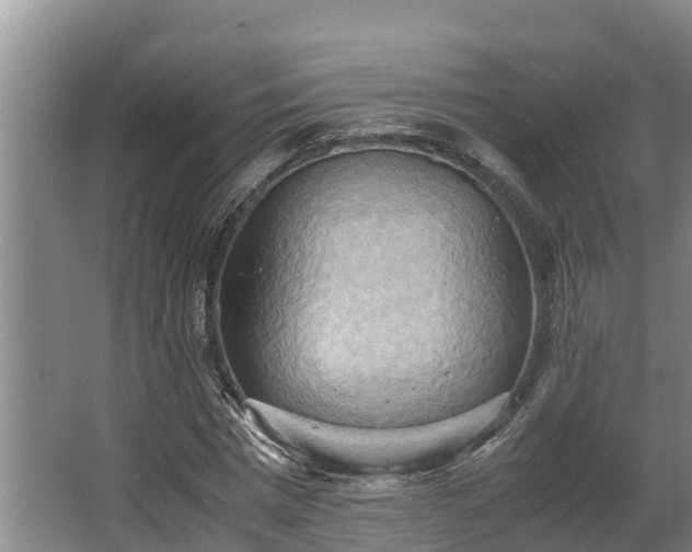 X0000064040777200602031556