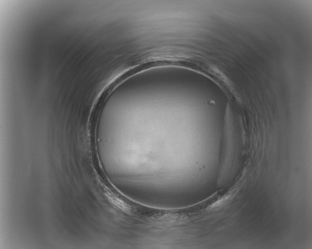 X0000064040779200602031556