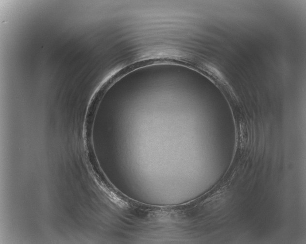 X0000064040780200602031556