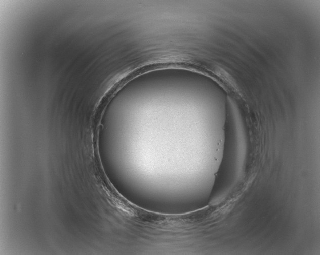 X0000064040781200602031556