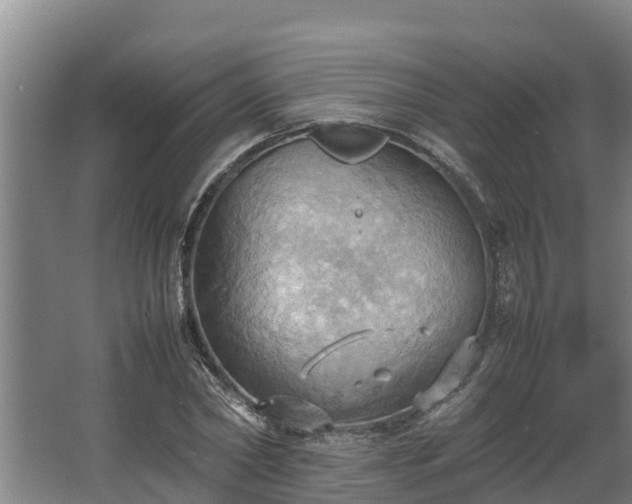 X0000064040782200602031556