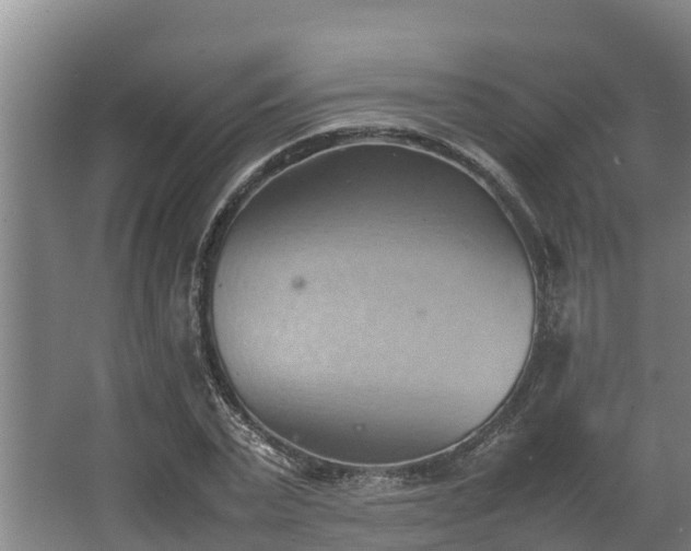 X0000064040783200602031556