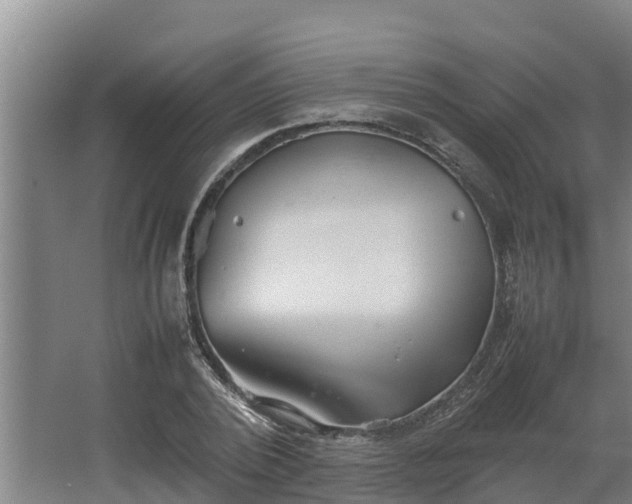 X0000064040784200602031556