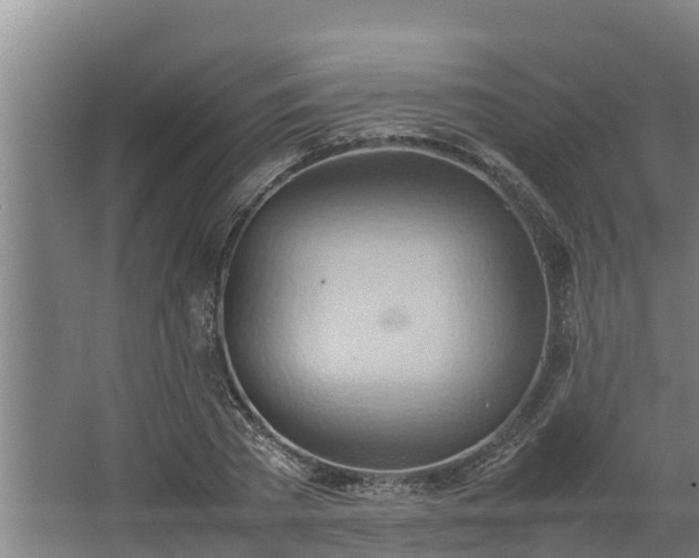 X0000064040785200602031556