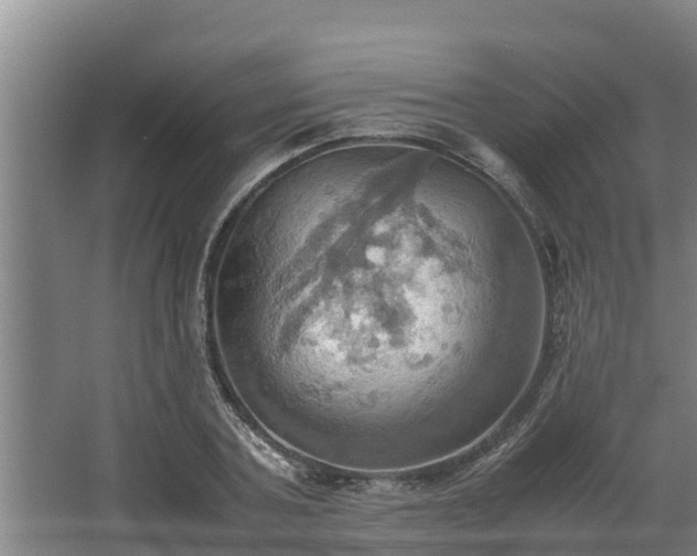 X0000064040787200602031556